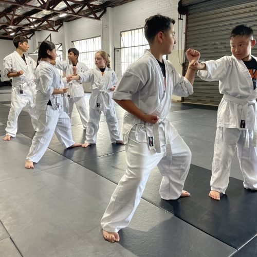 Website Final Junior Classes Kids Karate Pic